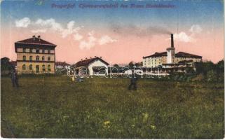 1918 Pragersko, Pragerhof; Thonwarenfabrik des Franz Steinklauber / pottery, factory. Verlag Amalie Churfürst (EK)