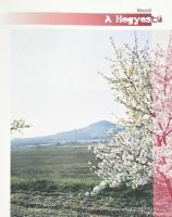 Egy csendesebb Magyarország. Vizek, kövek, levelek. Katona Zoltán, Samu Mihály, Győri István, Katona...