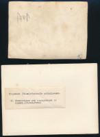 cca 1900 Sziám, 5 db vintage sajtófotó idegen nyelveken feliratozva - táncosok, temetés, szobrok, ri...