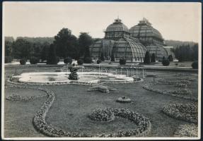 1923 Ausztria, Bécs, Schönbrunn, Botanikai kert, németül feliratozott vintage fotó, 11,3x16,2 cm