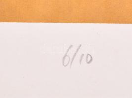 Misch Ádám (1935-1995: Sötét forma és virág. Szitanyomat, papír, jelzett és datált (Misch 73), számo...