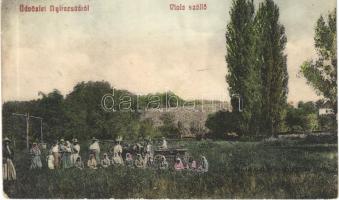1917 Nyíracsád, Viola szőlő (EK)