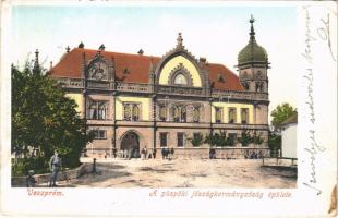 Veszprém, a Püspöki jószágkormányzóság épülete. Krausz A. kiadása (EB)