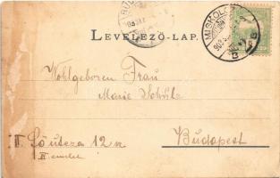 1903 Diósgyőr (Miskolc), várrom. Ferenczi Károly kiadása (ragasztónyom / glue mark)