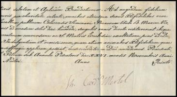 1881 Pápai búcsu engedély a kalocsai Kisszeminárium Gyümölcsoltó Boldogasszony kápolnája számára Teo...