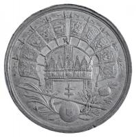 1867. "A Buda-Pesti Koronázás Emlékeül 1867" Sn koronázási emlékérem. Szign.: W.S. (15,29g...