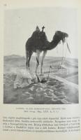 Cholnoky Jenő (1870-1950): Afrika I-II. kötet. Magyar Földrajzi Társaság könyvtára. Bp., [1930], Lam...