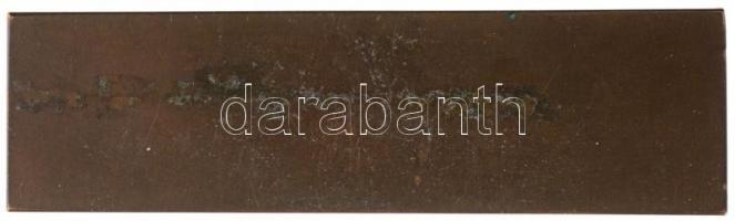 Osztrák-Magyar Monarchia DN "A fűzfa" egyoldalas Br plakett. Szign.: Stanislav Sucharda (1...