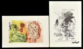 Láncz Sándor: Hincz Gyula. Hincz Gyula (1904-1986) által DEDIKÁLT és dátumozott példány! Bp., 1972, ...