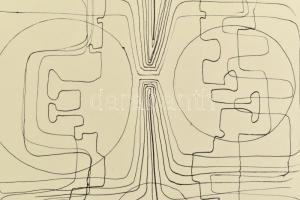Láncz Sándor: Hincz Gyula. Hincz Gyula (1904-1986) által DEDIKÁLT és dátumozott példány! Bp., 1972, ...