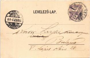 1900 Szeged, Közúti híd