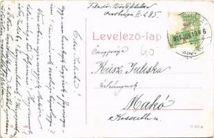 1911 Orosháza, Erzsébet királyné utca, Takarékpénztár, könyvnyomda. W. L. 1607. (EB)