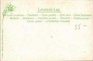 Tátraszéplak, Tatranska Polianka, Westerheim  (Tátra, Magas-Tátra, Vysoké Tatry); Szálloda, Szalóki,...