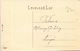 1911 Boksánbánya, Németbogsán, Deutsch-Bogsan, Bocsa Montana; Berzova vize. W. L. 1136. / Berzova-Fl...