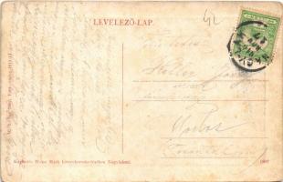 1910 Nagylak, Nadlac; Ligeti részlet "Az ültetvényeket rongálni szigorúan tiltva van" tábl...