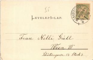 1905 Nagysink, Gross-Schenk, Cincul Mare, Cincu; Evangélikus templom, kerékpár. Josef Hammer kiadása...