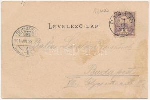 1901 Parajd, Praid; Parajdi műkedvelők főbb szereplői. Heiter Gy. / members of the amateurs company,...