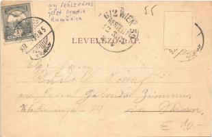 1902 Szászváros, Broos, Orastie; Marktgasse / utca, piac. H. Graef kiadása / street view, market (EK...