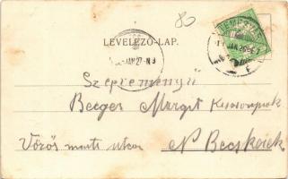 Temesvár, Timisoara; Grand Hotel Hungária nagyszálloda, téli kert / hotel, winter garden (EK)