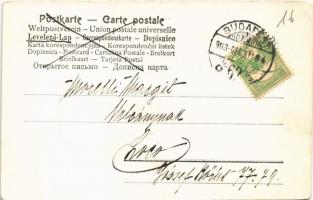 1903 Boldog Újévet! / New Year greeting art postcard, lady with pig (EK)