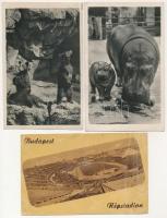 71 db MODERN magyar város képeslap az 1950-es évekből / 71 modern Hungarian town-view postcards from...