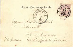 1899 (Vorläufer) Czorba in der Tatra, Csorbató (Vysoke Tatry); ló / horse (EK)