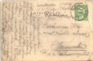 1910 Cód, Czodt, Szád, Sadu; Editura lui Ioan Tattu (EB)