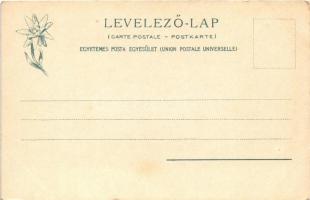 Újtátrafüred, Neu-Schmecks, Novy Smokovec (Magas-Tátra, Vysoké Tatry); szállodák. Feitzinger Ede 190...