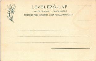 Ótátrafüred, Altschmecks, Stary Smokovec (Magas-Tátra, Vysoké Tatry); Villa Gróf Csáky. Feitzinger E...