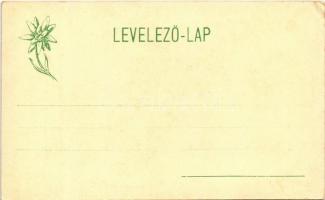 Tátra, Vysoké Tatry; Tengerszem a Miedziane csúccsal. Feitzinger Ede 1903-13. 288 Ps. / Czarny Staw ...