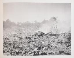 Milne, John. Burton, W. K. Ogawa. K. The great earthquake of Japan. 1891. Yokohama, Lane, Crawford &...