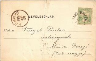 1902 Tahi, Tahi-puszta (Tahitótfalu); látkép, Tahi csárda, vendéglő, étterem. Kiadja Divald Károly 1...