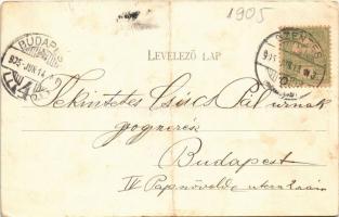 1905 Szentes, Vásári jelenet, piac, cigány muzsikusok. Untermüller Ernő kiadása (fa)