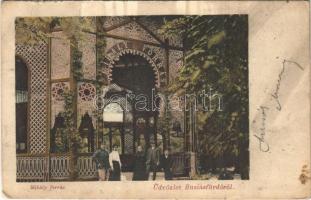 1908 Buziásfürdő, Baile Buzias; Mihály forrás. Nosek Gusztáv kiadása / spring well (fa)