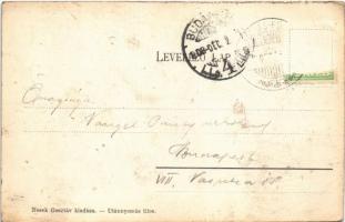 1908 Buziásfürdő, Baile Buzias; Mihály forrás. Nosek Gusztáv kiadása / spring well (fa)