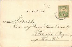 1902 Rábaszentmihály, Fő tér, Gráczi út, Kiskos János üzlete. Steiner Testvérek kiadása (EK)