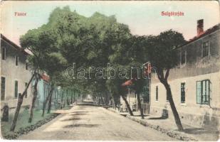 1909 Salgótarján, Fasor. Friedrich Gyula kiadása (EB)