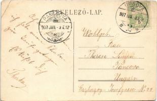 1907 Orsova, MFTR hajóállomás, gőzhajó / port, steamship (EB)