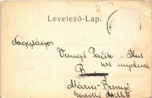 Iglófüred, Spisská Nová Ves Kupele, Novovesské Kúpele; Millenium nyaraló. Wlaszlovits G. 6007. / vil...