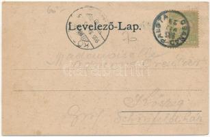 1905 Csanádpalota, Községháza, étterem, templom, utca. Art Nouveau, floral (ázott / wet damage)