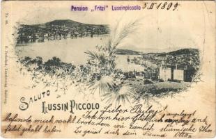 1899 (Vorläufer) Mali Losinj, Lussinpiccolo; Pension Fritzi. C. Jurischek Nr. 46. Art Nouveau, floral  (fa)