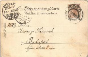 1899 (Vorläufer) Mali Losinj, Lussinpiccolo; Pension Fritzi. C. Jurischek Nr. 46. Art Nouveau, flora...