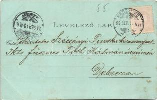 1899 Keszthely, látkép, Festetics kastély, Gazdasági Tanintézet, Balaton fürdő, Főgimnázium. Marton ...