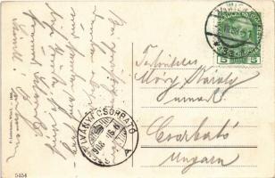 1908 Wien, Vienna, Bécs II. Garten in Pertl's Grand Etablissement, 3. Kaffeehaus. K.k. Prater /...