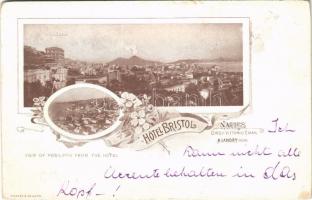Napoli, Naples; Hotel Bristol, view of Posilippo from the hotel. Art Nouveau, floral (EK)