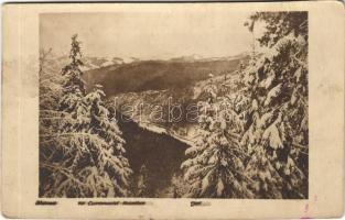 1917 Cheremosh-völgy a Kárpátokban télen / Czeremosztal Karpathen / WWI K.u.K. military, Ceremus valley in the Carpathians in winter. photo + M. kir. 13/I. népfelkelő munkásosztag (vágott / cut)