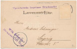 1901 Herkulesfürdő, Herkulesbad, Baile Herculane; Herkules kút. R. Krizsány kiadása / fountain (ázot...