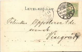 1903 Budapest II. Szent Lukács fürdő, gőzhajó. litho