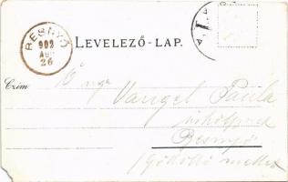 1902 Siófok, Sió és Hullám szálloda (EM)