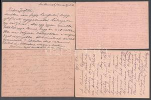cca 1914-17 össz. 10 db I. világháborús tábori postai levelezőlap, mind Gerő Zsófiának (1895-1966), ...